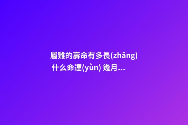 屬雞的壽命有多長(zhǎng) 什么命運(yùn) 幾月出生最好